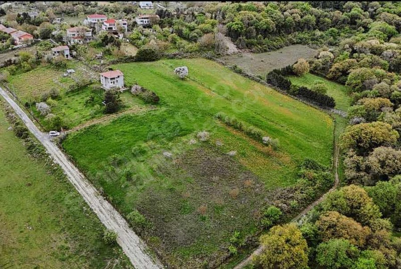 Fotoğraf